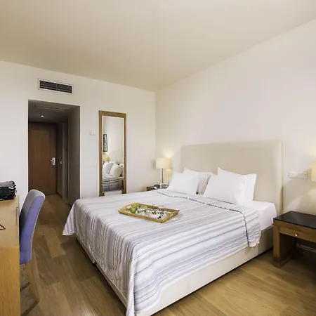 리조트 Kassandra Palace Seaside