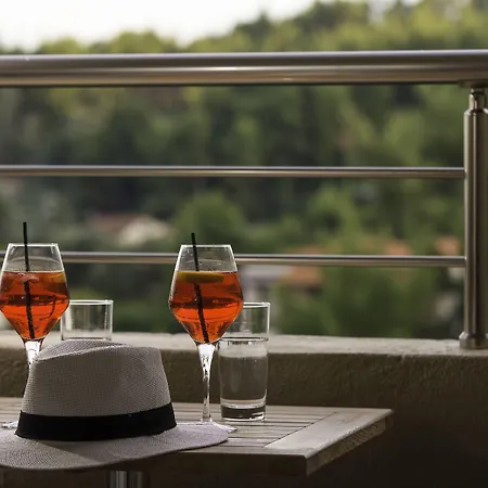 度假村 Kassandra Palace Seaside 5*