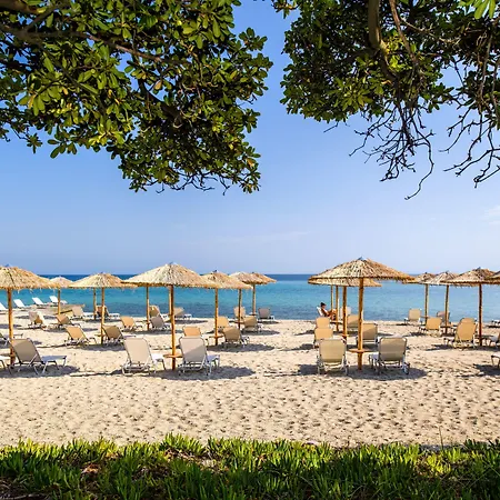 Kassandra Palace Seaside 5*