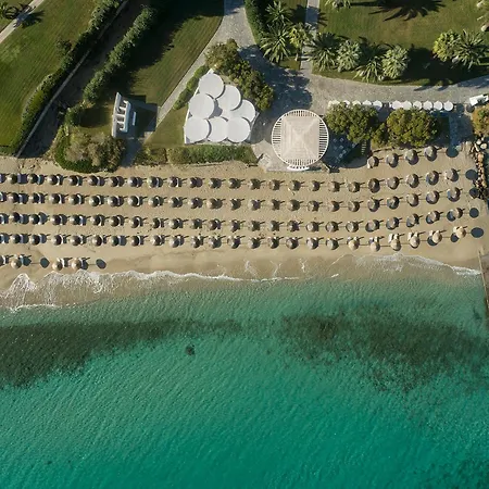 Kassandra Palace Seaside 5* Kриопиги