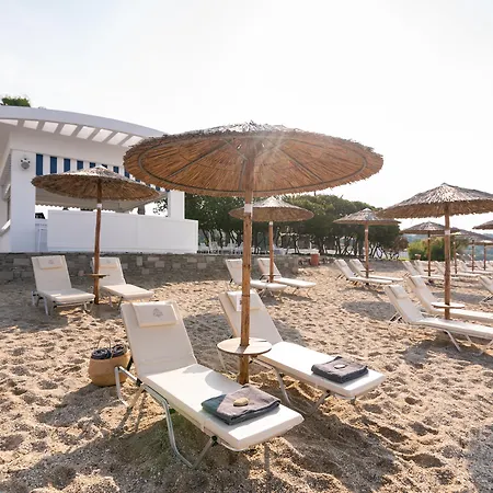 Resort Kassandra Palace Seaside