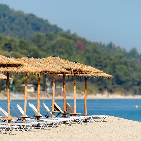 Kassandra Palace Seaside